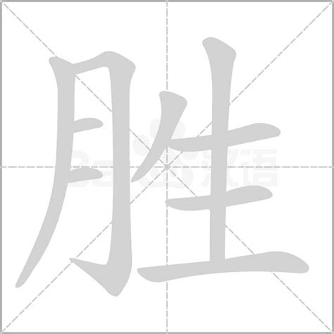 勝字五行|胜字的五行属性